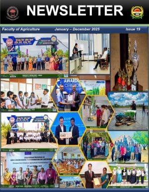 newsletter2025-cover